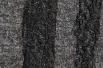 Rough, organic, vertical textures in shades of dark and light grey. Deep creases and ridges create a natural, rugged, and weathered surface