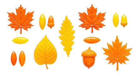 Assorted Autumn Leaves and Acorns in Orange and Yellow isolated on a transparent background
