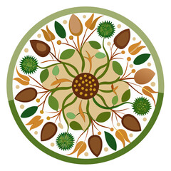 Floral mandala with leaves and seed pods isolated on transparent background