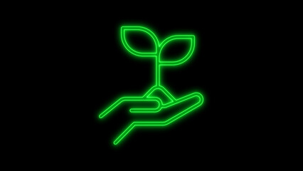 Green neon line art icon of a human hand gently holding a young plant sprout with two leaves, symbolizing environmental care and new life, isolated on black background