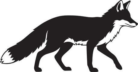 isolated on white background