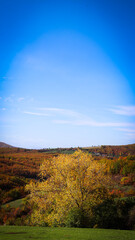 autumn landscape in the mountains