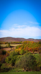 autumn landscape in the mountains