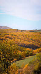 autumn landscape in the mountains