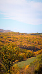 autumn landscape in the mountains