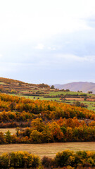 autumn landscape in mountains