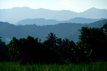 Serene Mountain Landscape with Lush Vegetation and Misty Horizon