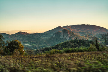 Euganean hills landscape with vineyard at sunset