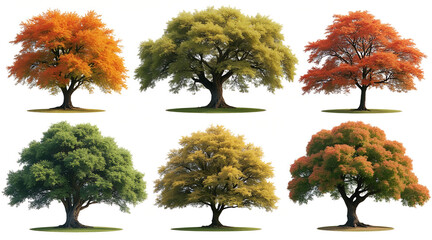 Vibrant trees display stunning autumn foliage in diverse colors capturing seasonal beauty and nature's artistry for your designs
