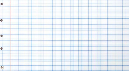 Crisp graph paper with blue grid lines and binder holes offers a clean canvas for data analysis, planning, or creative projects.