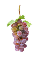 Bunch of grapes isolated on white