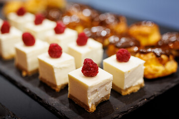 Cheesecake squares with raspberry topping