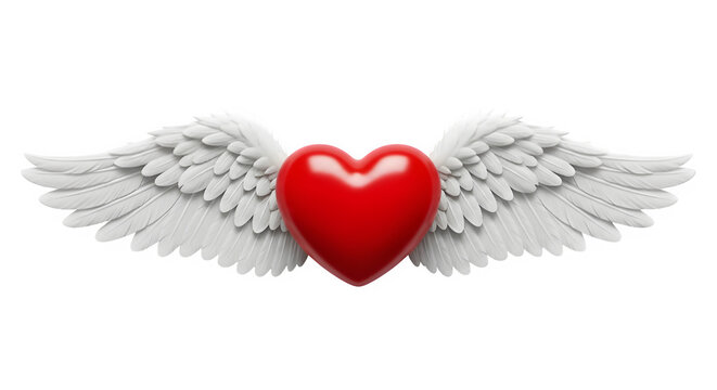 A vibrant red heart with white feathered wings spread wide against a stark black background symbolizing love and freedom