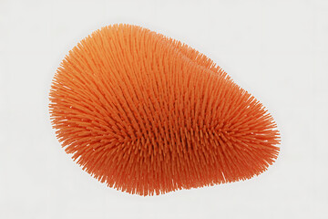 Vibrant orange textured form, resembling a coral or sea sponge, with bristly, organic structure.