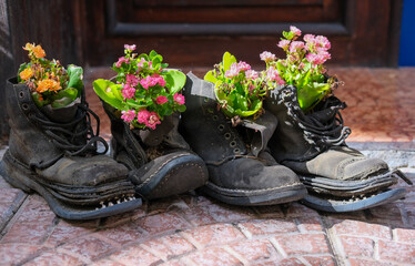 Close-up of old black boots used as flower planters with colorful blossoms, showing texture and detail.