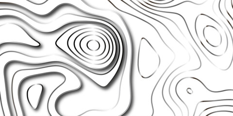 Abstract wavy line 3d paper cut white background. white and gray luxury grid topography map and satin smooth wallpaper matt paper light texture. The stylized height of the topographic map.