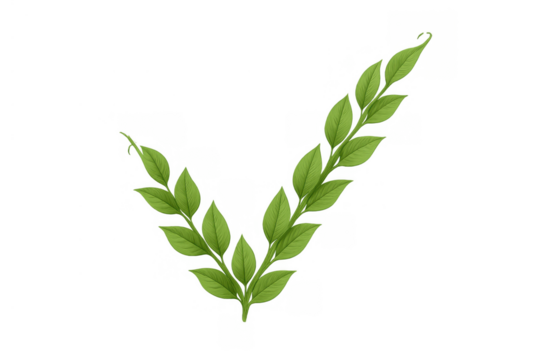Green leaves forming a check mark, symbolizing success, approval, and organic quality on a transparent background