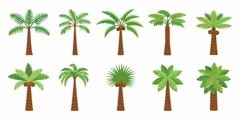 Collection of ten diverse cartoon palm trees with coconuts and varied leaf shapes on a white background © Anik
