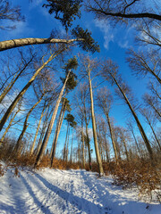 Fototapety na wymiar - Fototapeta24.pl