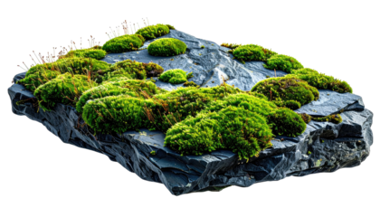Angular rock covered with bright green moss, against a solid black background
