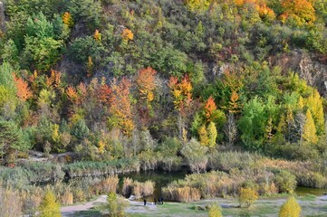 Beautiful autumn background. Colorful leaves on trees in fall time. Concept for nature and landscape.