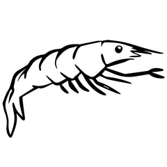 shrimp aesthetic seafood fish doodle for restaurant menu