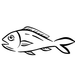 aesthetic seafood fish doodle for restaurant menu