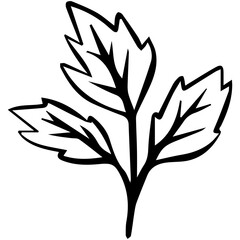 aesthetic seafood fish doodle for restaurant menu