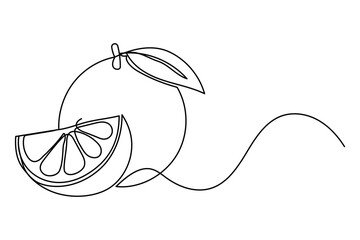 
Orange fruit continuous one line drawing minimalist outline vector illustration