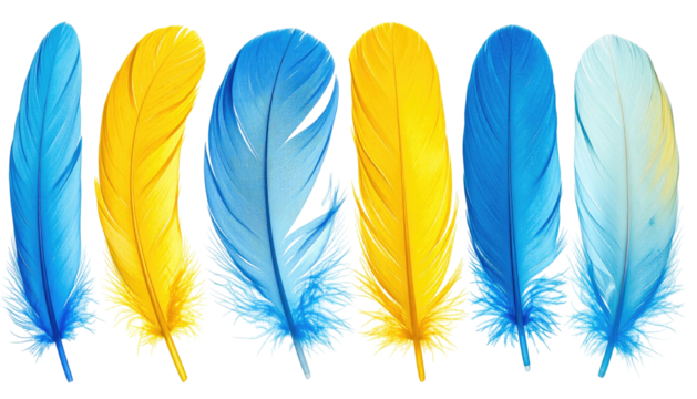 Six feathers displayed in alternating blue & yellow, with translucent edges, on a black background