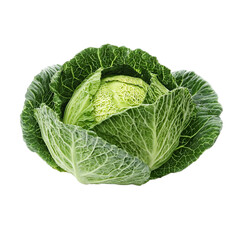 Fresh green cabbage isolated on a clean surface for healthy eating and culinary inspiration