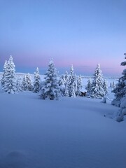 Where the Sun Meets the Snow