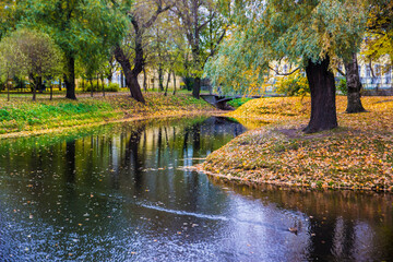 picturesque pond in the autumn park. autumn in the park. yellowed leaves and trees. autumn park landscape. the beauty of urban nature.