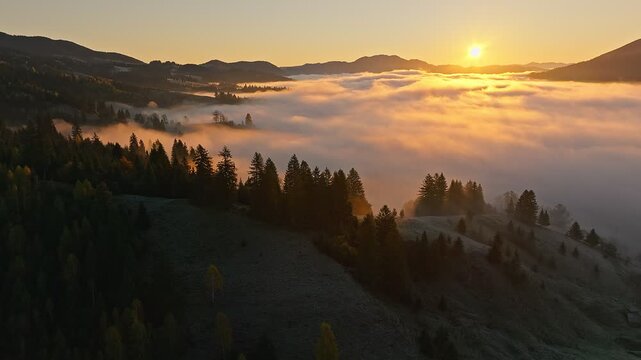 A breathtaking sunrise casts golden glow over misty hills and forest