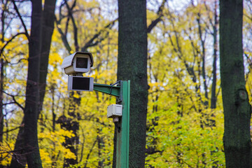 surveillance camera in a public park with yellowed leaves in the background. safety in the city. safety for people walking in the park.
