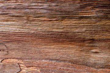 wood texture background