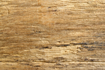 Wood texture