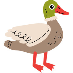 Cartoon Mallard Duck Standing Profile View Simple Illustration Green Head Brown Body White Wing Red Feet White Background Cute Animal Cartoon Character
