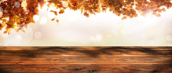 Wooden planks in autumn with falling colorful leaves. Sunlight with falling leaves and a blurred...