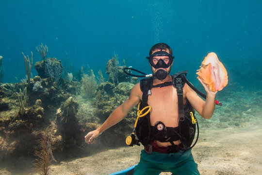 Scuba diver wearing swimming trunks sitting on the seabed holding a giant conch shell, Roatan, Honduras