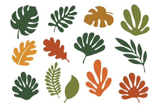 Collection of abstract leaves in earthy tones, a modern botanical set with monstera and other tropical foliage shapes, a flat vector illustration