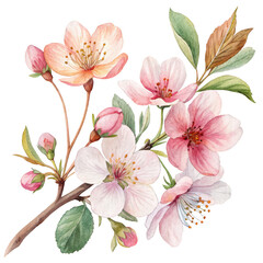 Obraz premium A vibrant arrangement of pink and white cherry blossom flowers with green leaves, showcasing their delicate beauty and intricate details.