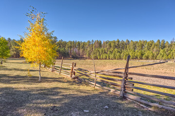 Old wooden cattle corral, Murrays Lake, Kaibab Forest National Forest, Arizona, USA