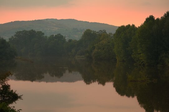 Trees reflected in the Morava river at sunset, Serbia
