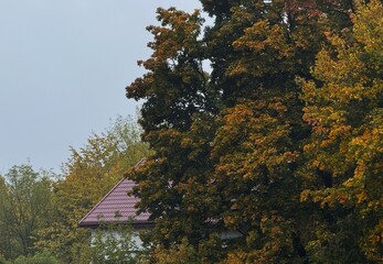 House's roof in an autumn forest
