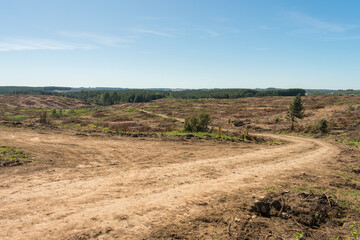 Land deforested by timber harvesting in Sao Francisco de Paula, South of Brazil