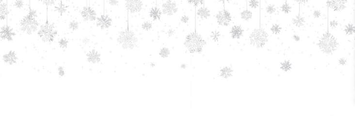 Winter png frost crystal snowflake transparent decoration.
