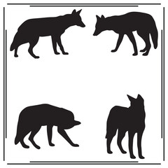 Set of Black Silhouetted Coyotes - Various Poses including Walking, Standing, and Stalking - Vector Icons for Wildlife, Nature, and Animals