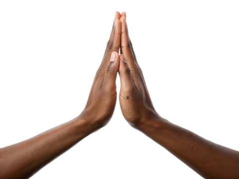 Two darkskinned hands pressed together isolated on transparent background