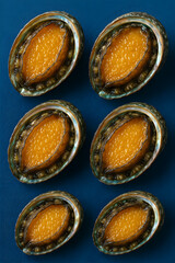six Abalone on Blue Background	